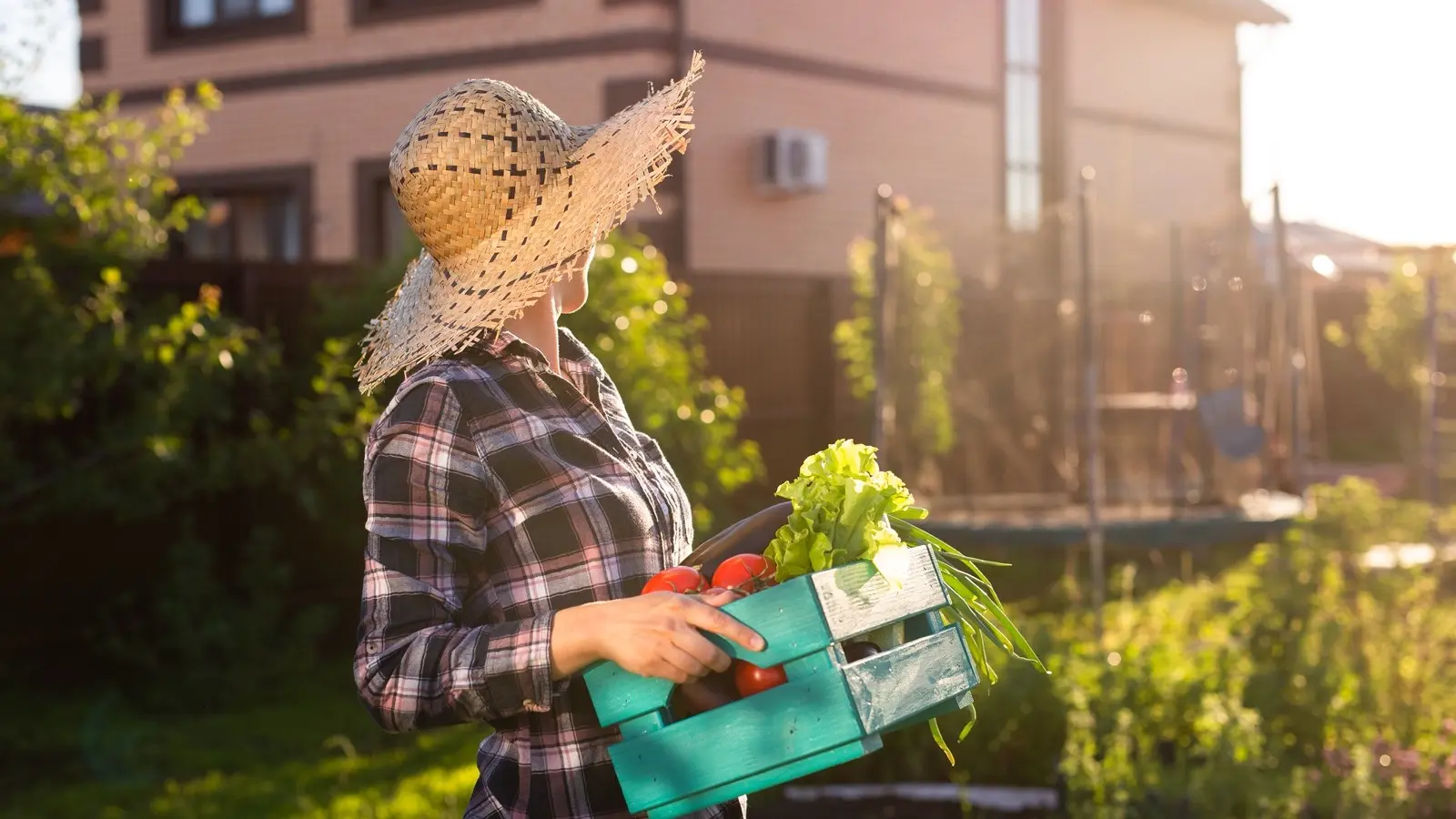 Петергофское Имение продажа земли под дом