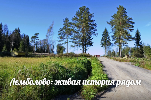 Земля во Всеволожском районе фото