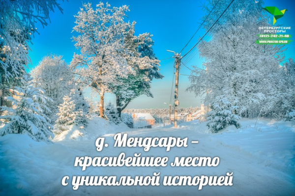 Купить земельный участок в деревне Мендсары